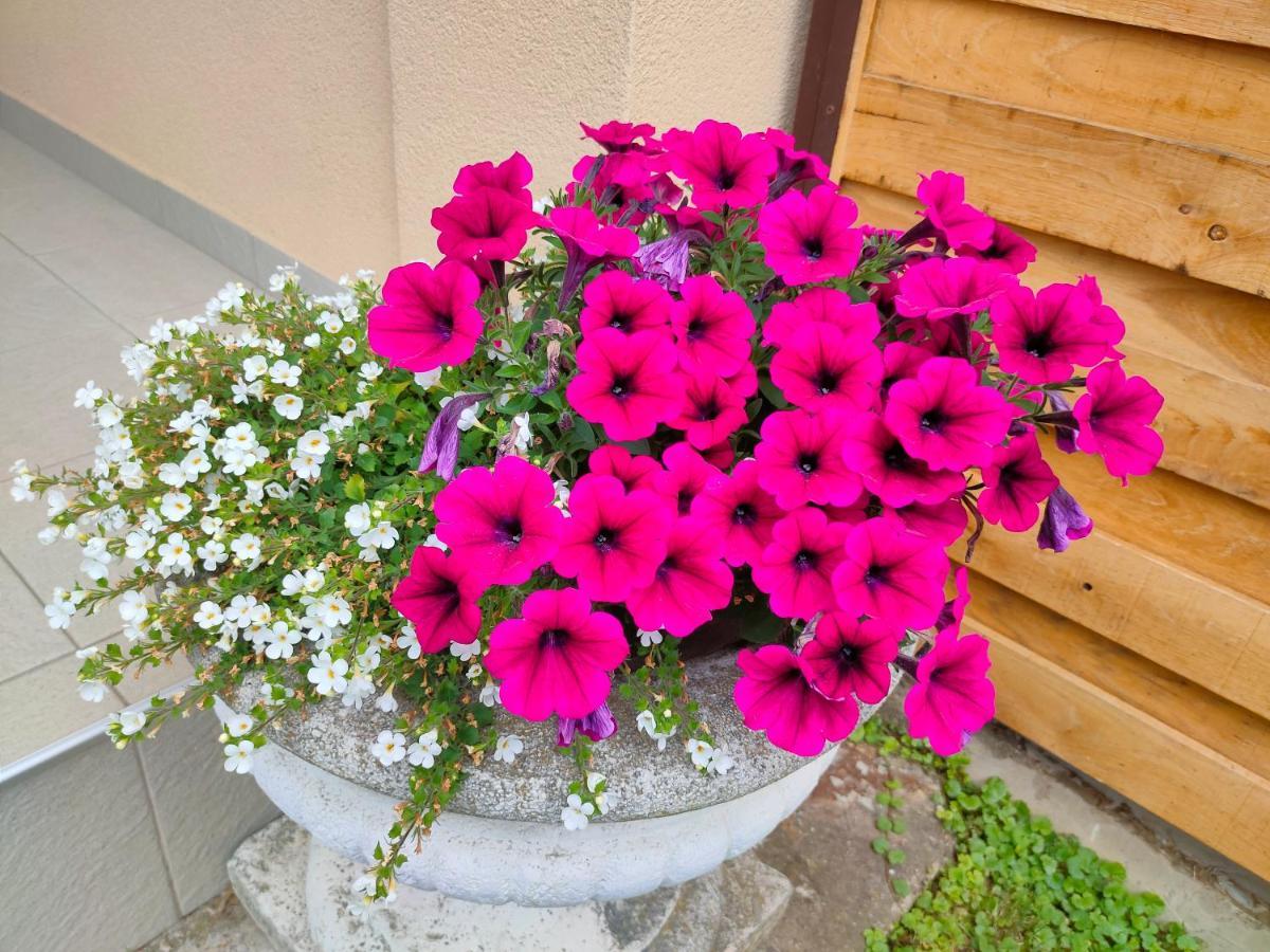 Studio Apartman The Little Prince Bjelovar Ngoại thất bức ảnh